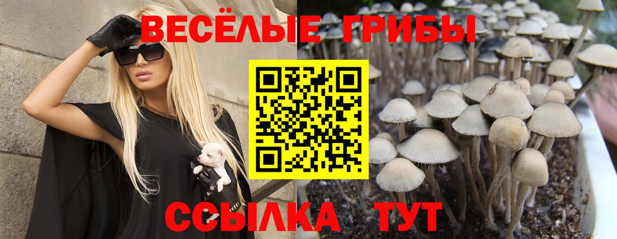 Ярославль  Галлюциногенные грибы Magic Shrooms  Псилоцибиновые грибы ЛСД  Вход с VPN 